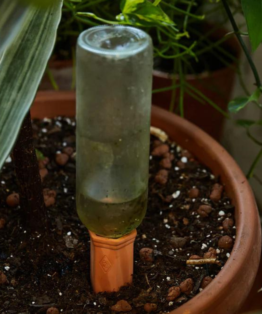 Gentlemen's Hardware plant water drippers as a string light with small LED bulbs for watering and decorative lighting.