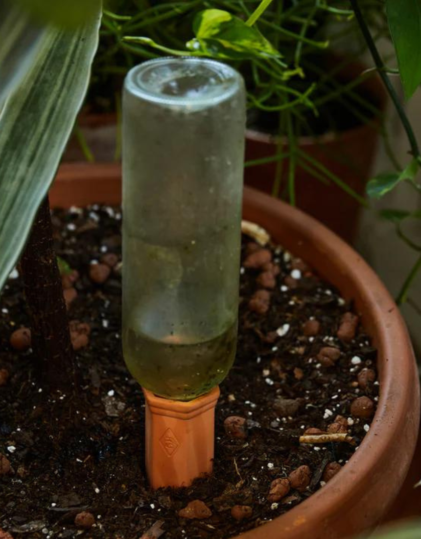 Gentlemen's Hardware plant water drippers as a string light with small LED bulbs for watering and decorative lighting.
