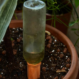 Gentlemen's Hardware plant water drippers as a string light with small LED bulbs for watering and decorative lighting.