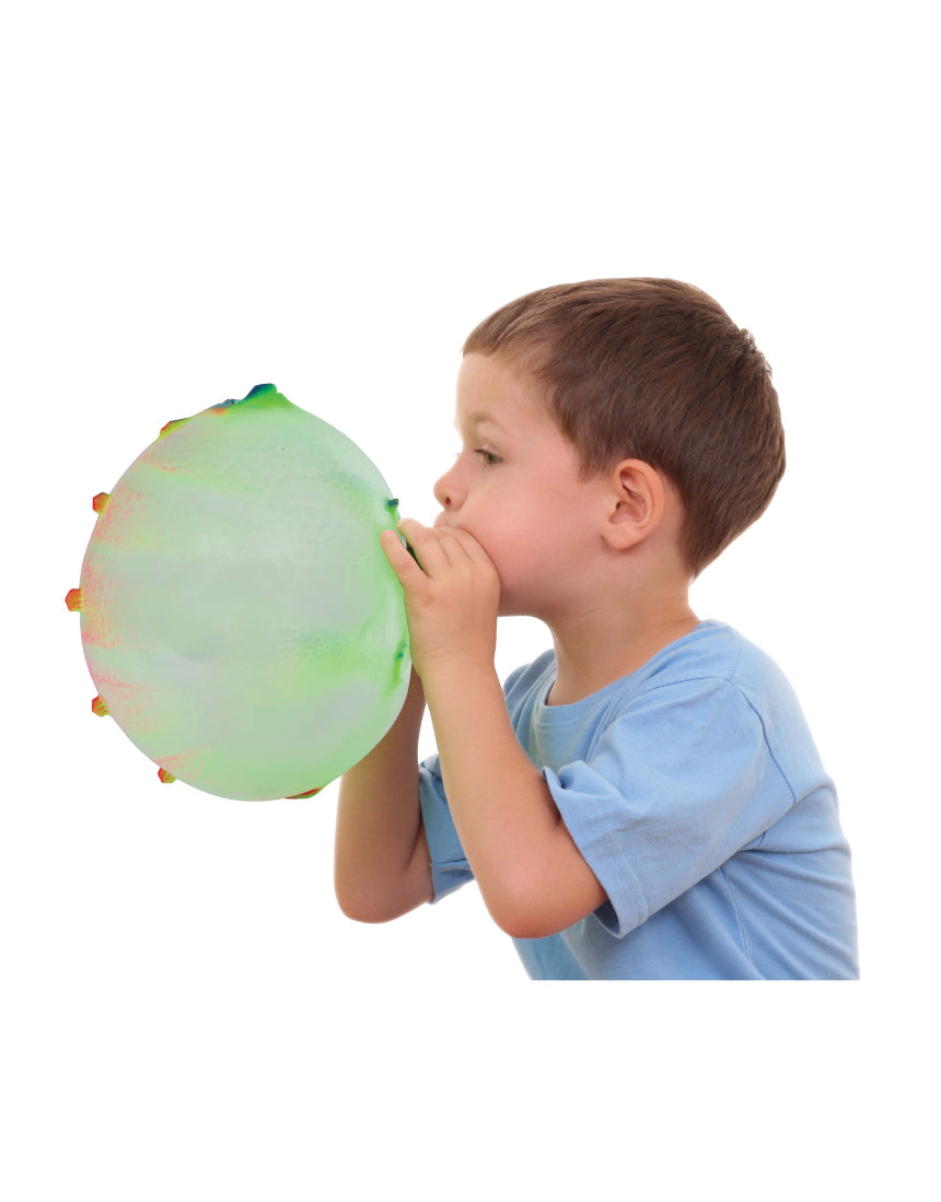 Colorful dinosaur-shaped balloon balls toy by isAlbi, featuring assorted bright colors and playful dinosaur designs.