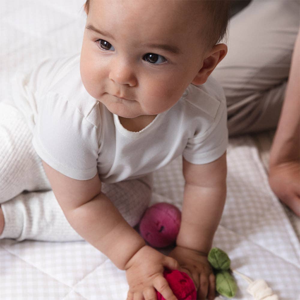 Living Textiles stroller toys featuring a plush pineapple and cherries, colorful and soft for baby sensory play.