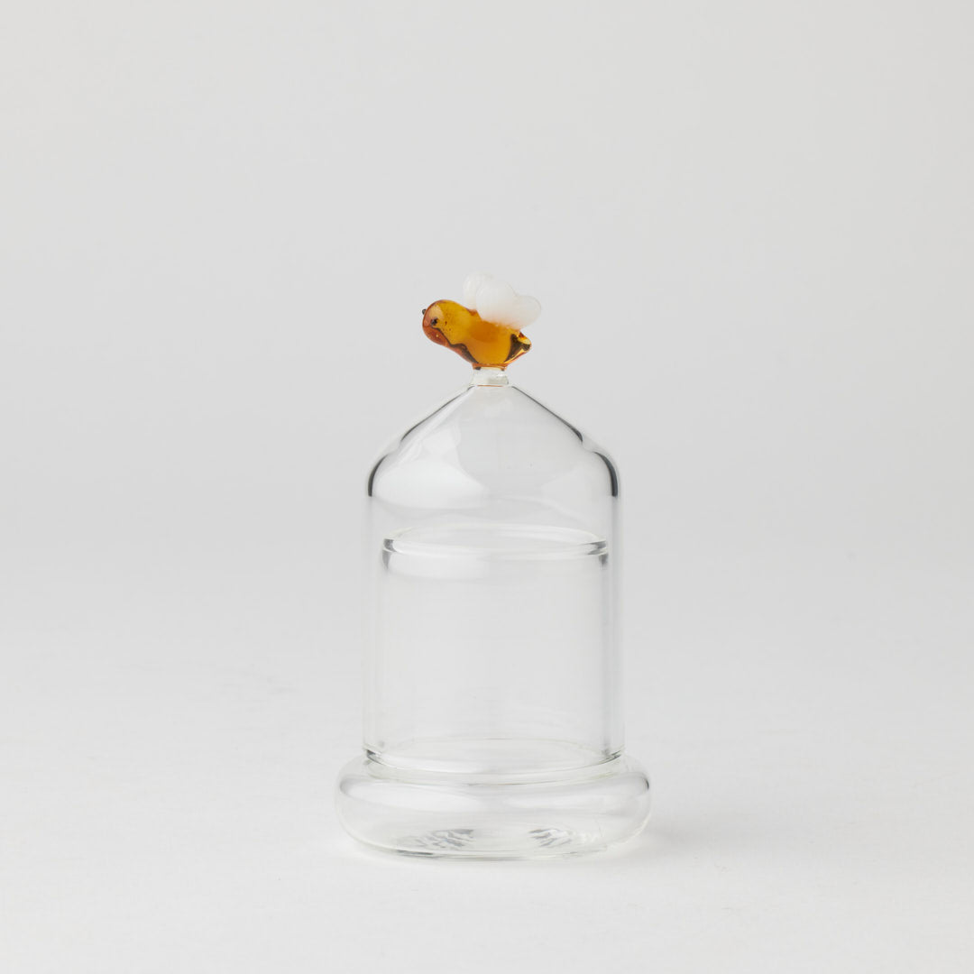 Clear Pilbeam Living Honeybell Mini Cloche decorative glass cover showcasing a miniature display inside.