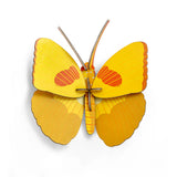 Yellow butterfly wall art from Studio Roof featuring a vibrant butterfly design on a decorative wall decor piece.