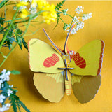Yellow butterfly wall art by Studio Roof featuring a vibrant butterfly design on a wall decor piece.