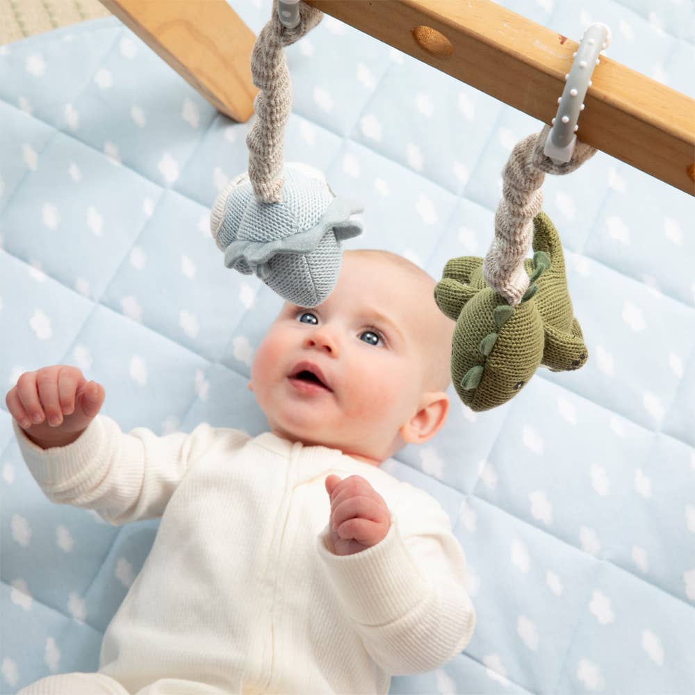 Living Textiles 2-pack dinosaur stroller toys with colorful plush designs for babies and toddlers.
