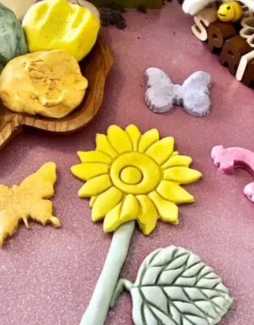 Eco Art and Craft Eco Playdough Kit for kids, includes colorful, natural playdough for creative art and craft projects.