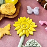 Eco Art and Craft Eco Playdough Kit for kids, includes colorful, natural playdough for creative art and craft projects.