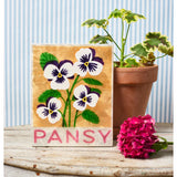 Jones & Co Market Wall Art featuring a vibrant Pansy flower illustration on a stylish wall art print.
