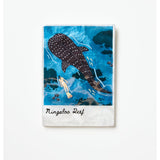 Jones & Co Snapshot Tile Ningaloo wall art featuring a vibrant coastal scene with coral reef and marine life in a colorful design.