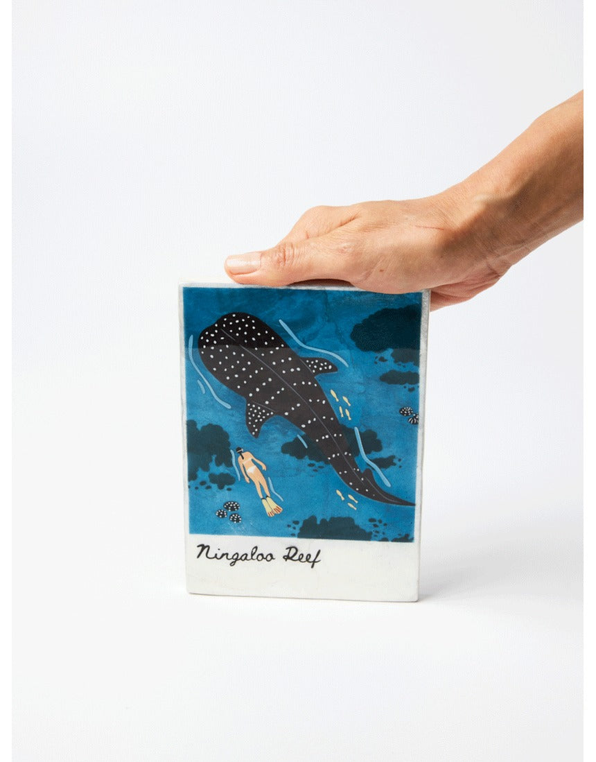 Jones & Co Snapshot Tile Ningaloo wall art featuring vibrant coastal scene with marine life and coral colors.