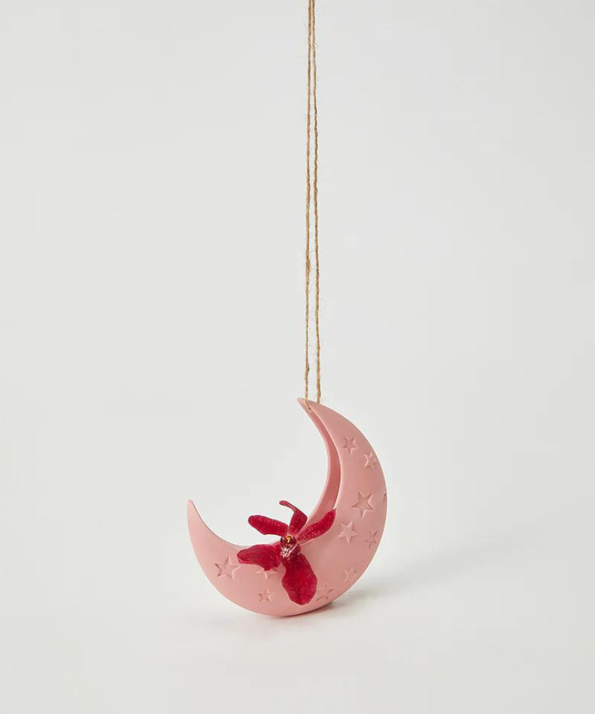 Pink hanging vase from Jones & Co Luna collection, decorative glass vase with a modern design and hanging feature.