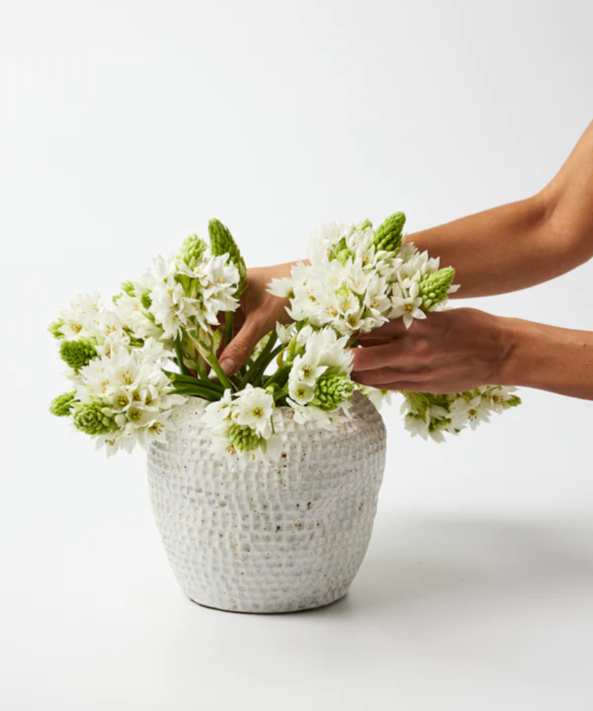Jones & Co Forma Drop Short Vase showcasing a sleek, modern design with a smooth, rounded shape perfect for floral arrangements.