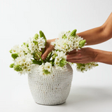 Jones & Co Forma Drop Short Vase showcasing a sleek, modern design with a smooth, rounded shape perfect for floral arrangements.