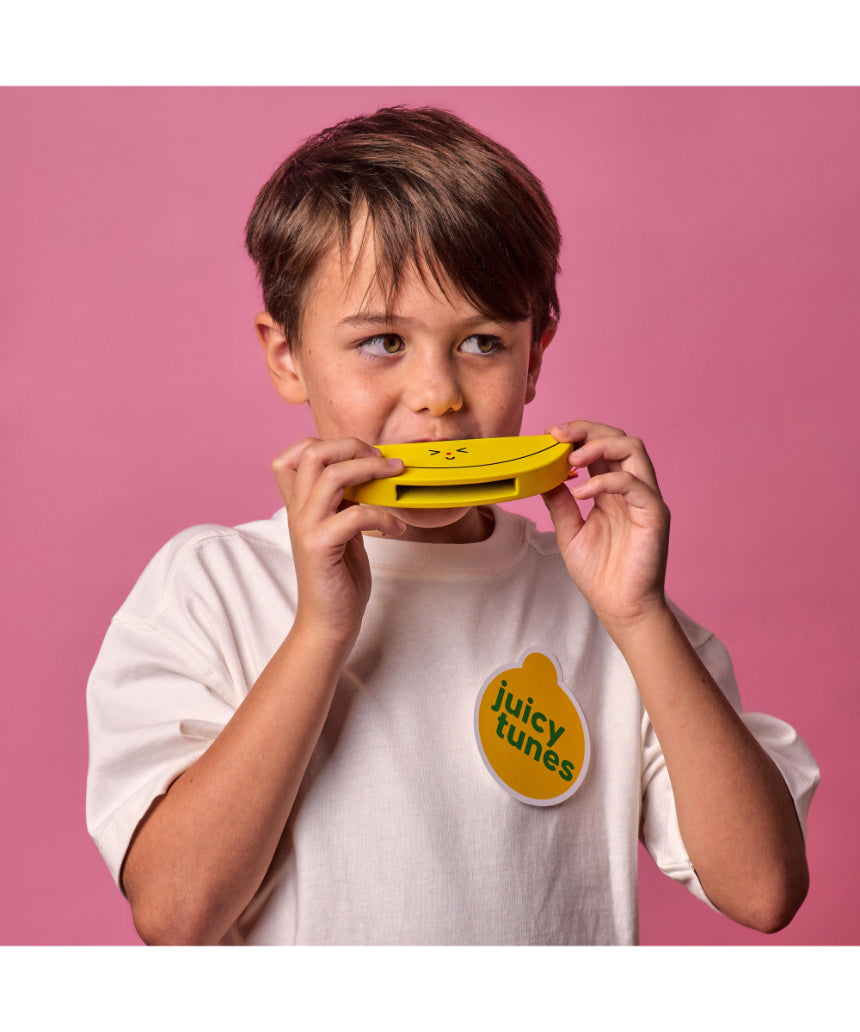 Wooden fruit harmonica by isAlbi, a colorful children's musical instrument with fruit-shaped design and wooden construction.