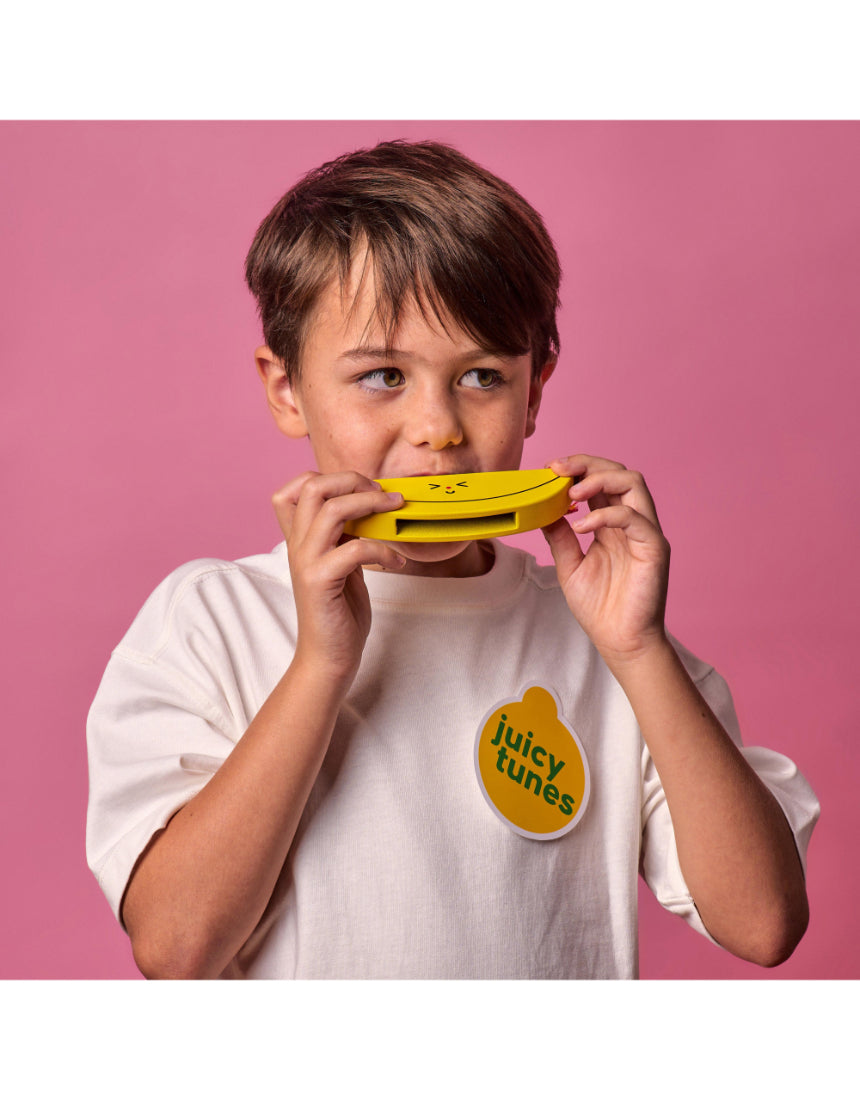 Wooden fruit harmonica by isAlbi, a colorful children's musical instrument with fruit-shaped design and wooden construction.