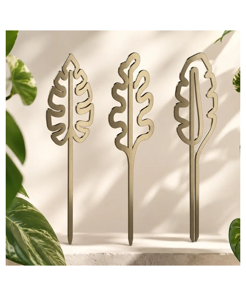 Brass plant grow pole by We The Wild, a stylish gardening accessory for supporting and training indoor plants.