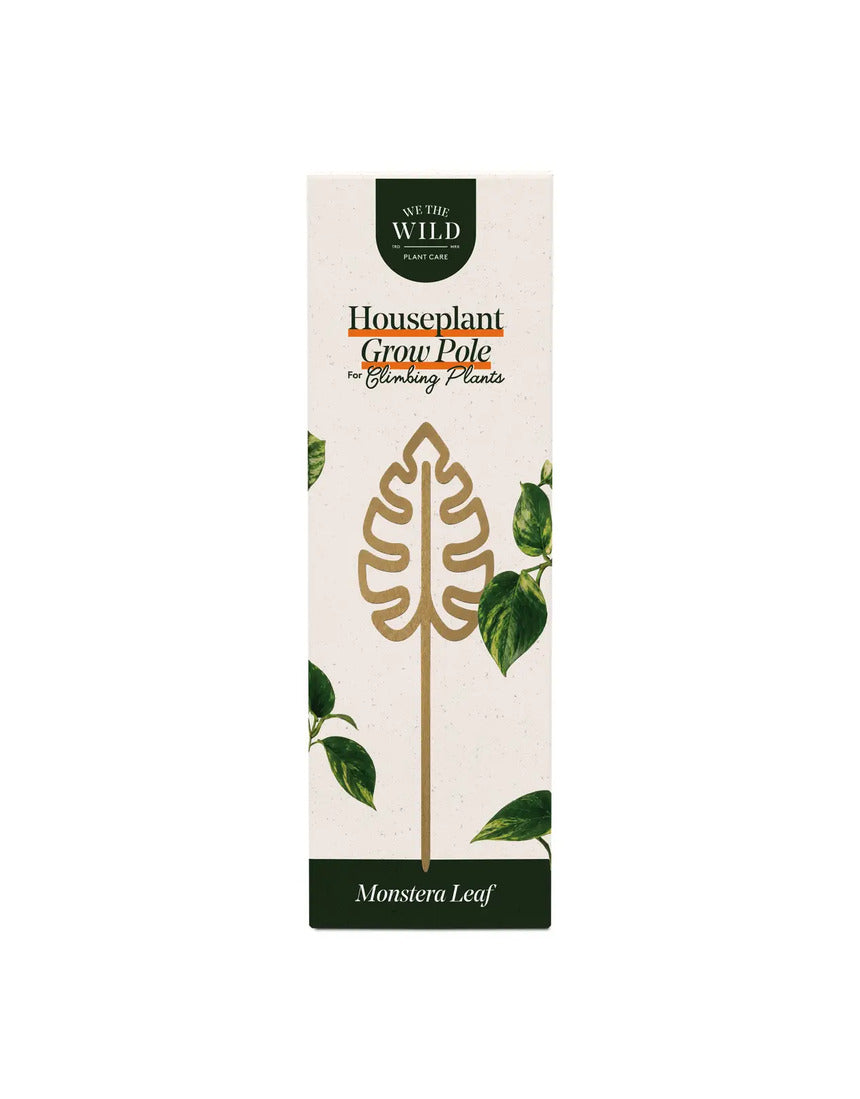 We The Wild Brass Grow Pole for plant support, featuring a sleek, durable brass design for indoor gardening and plant organization.