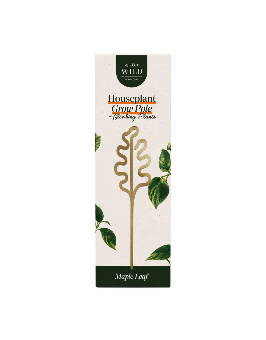 We The Wild brass grow pole for plant support, featuring a sleek, sturdy design for indoor garden accessories.