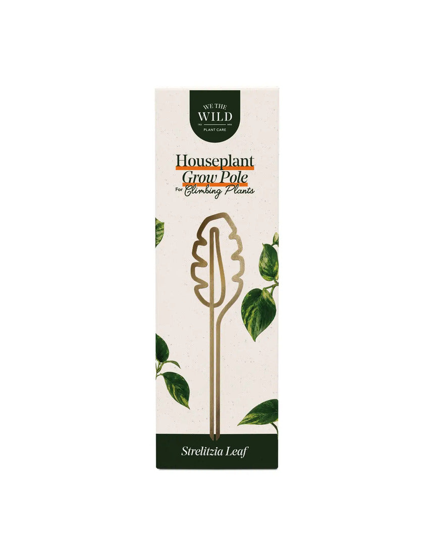 We The Wild brass grow pole for plant support, featuring a sleek, sturdy design ideal for indoor garden accessories.