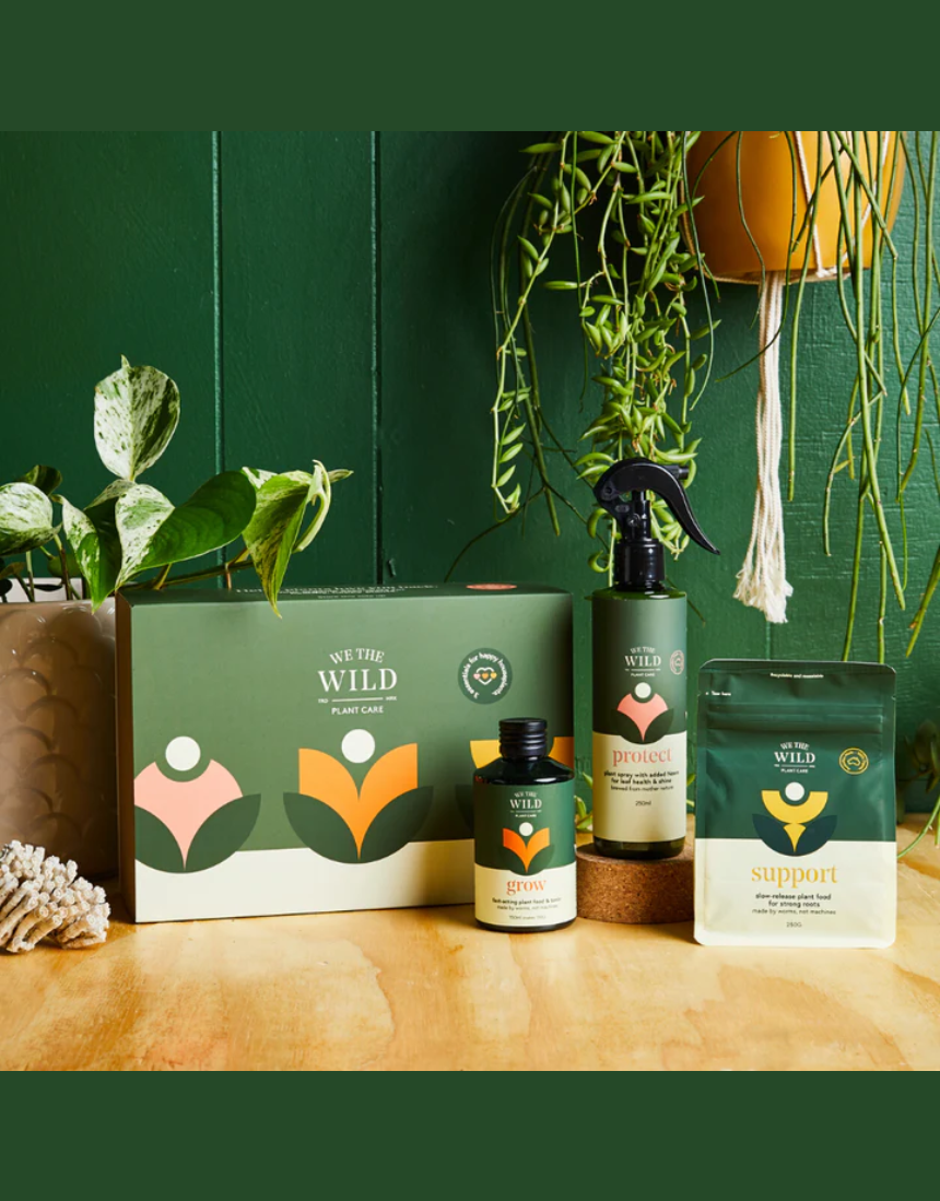 We The Wild Essential Plant Care Kit with various healthy indoor plants in a natural setting, showcasing vibrant green foliage.