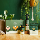 We The Wild Essential Plant Care Kit with various healthy indoor plants in a natural setting, showcasing vibrant green foliage.