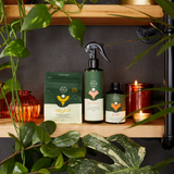 We The Wild Essential Plant Care Kit with healthy green plants, soil, and care tools for indoor plant maintenance.