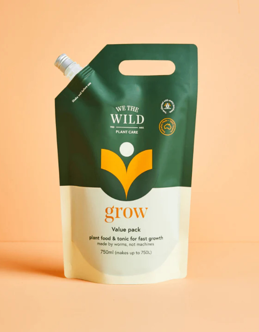 We The Wild Essential Trio plant pack featuring three healthy, vibrant indoor plants for home decor.