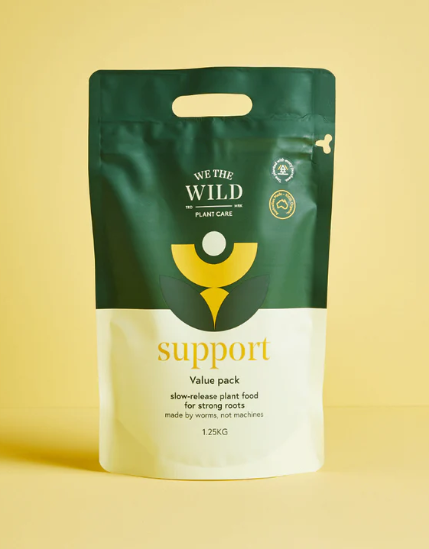 We The Wild Essential Trio Value Pack with three healthy plants in decorative pots, perfect for home or office decoration.