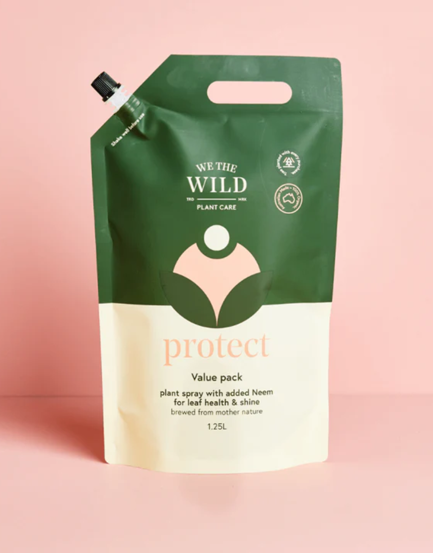 We The Wild Essential Trio plants pack showing three different healthy indoor plants in simple containers.