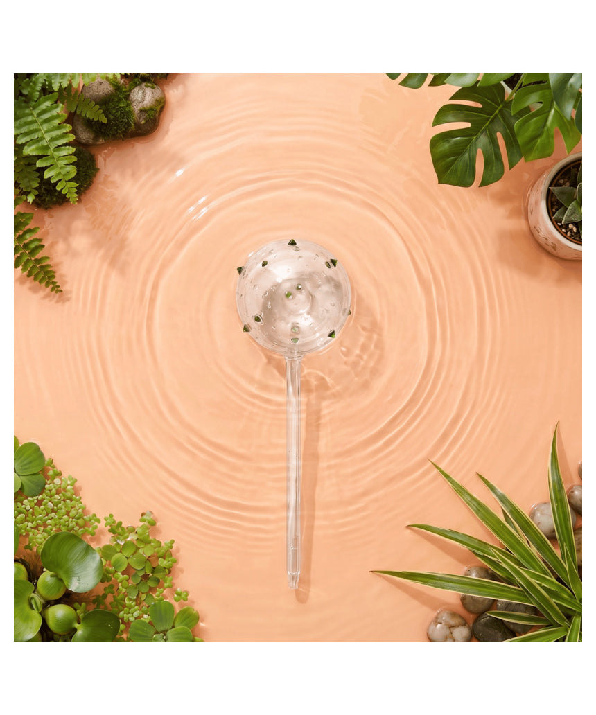 Self-watering globe from We The Wild for plant care, featuring clear glass design and a convenient watering mechanism.