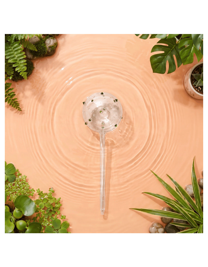 Self-watering globe from We The Wild for plant care, featuring clear glass design and a convenient watering mechanism.