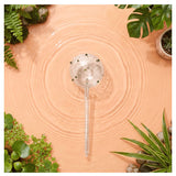Self-watering globe from We The Wild for plant care, featuring clear glass design and a convenient watering mechanism.