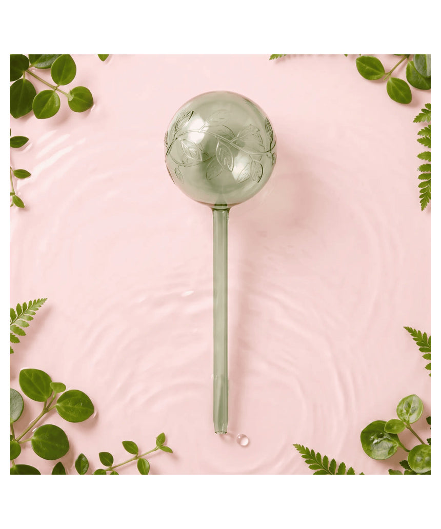 We The Wild self-watering globe plant accessory with transparent glass globe and wick for automatic watering of indoor plants.