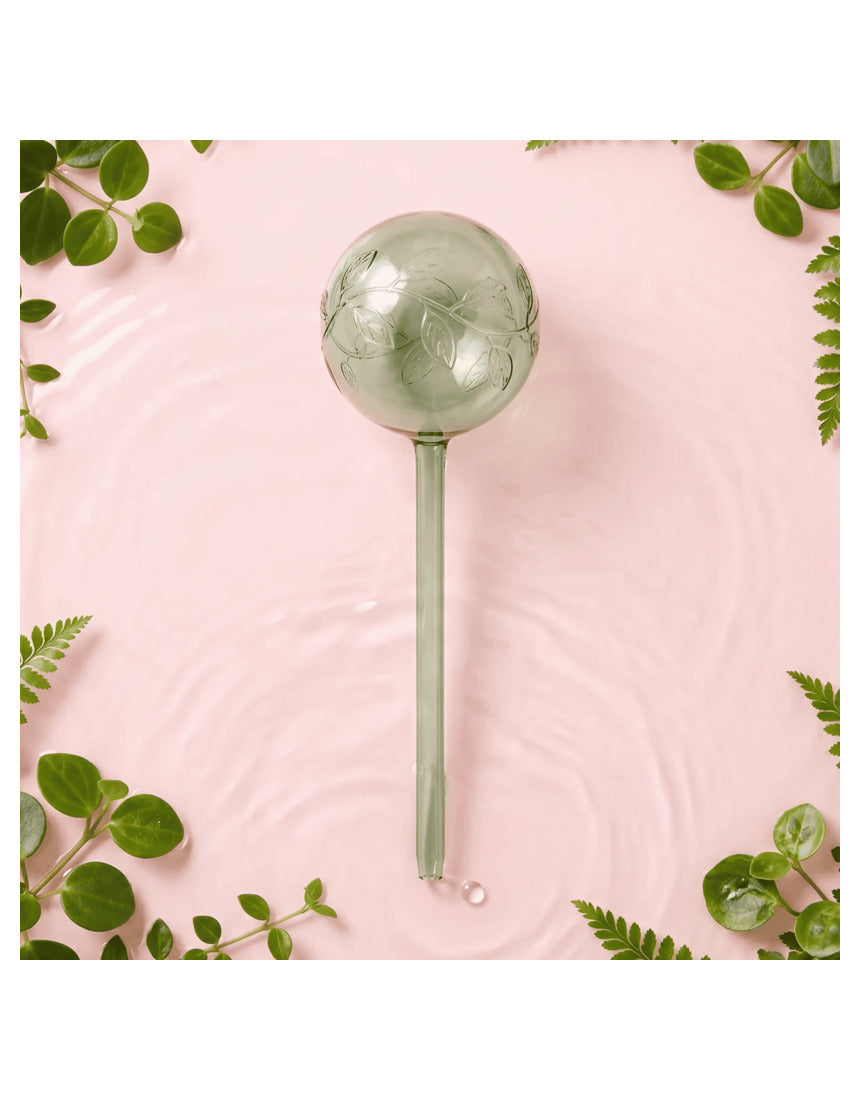 We The Wild self-watering globe plant accessory with transparent glass globe and wick for automatic watering of indoor plants.