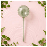 We The Wild self-watering globe plant accessory with transparent glass globe and wick for automatic watering of indoor plants.