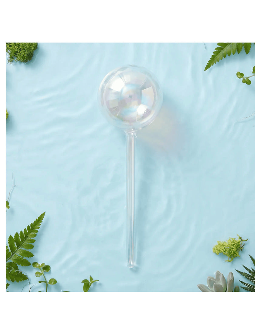 We The Wild self-watering globe plant accessory with clear glass bulb and stand, designed for automatic watering of indoor plants.