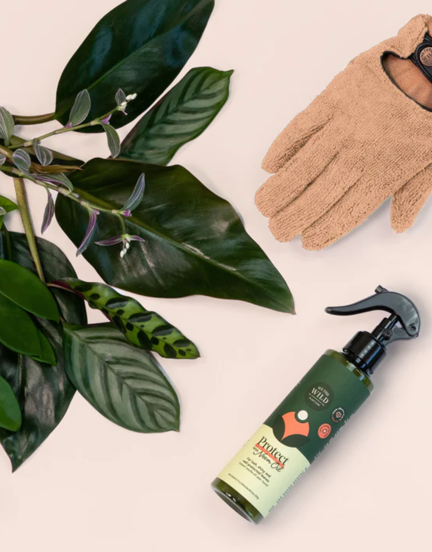 We The Wild Proud Plant Mum Leaf Health Kit featuring natural plant care products for healthy, vibrant houseplants.