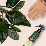 We The Wild Proud Plant Mum Leaf Health Kit featuring natural plant care products for healthy, vibrant houseplants.