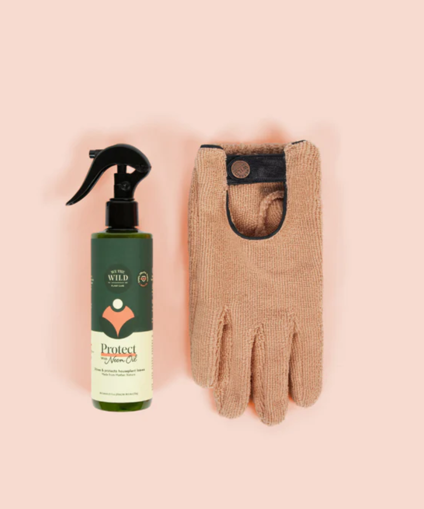 We The Wild Proud Plant Mum Leaf Health Kit with plant care tools and products for healthy houseplants, displayed in a natural setting.