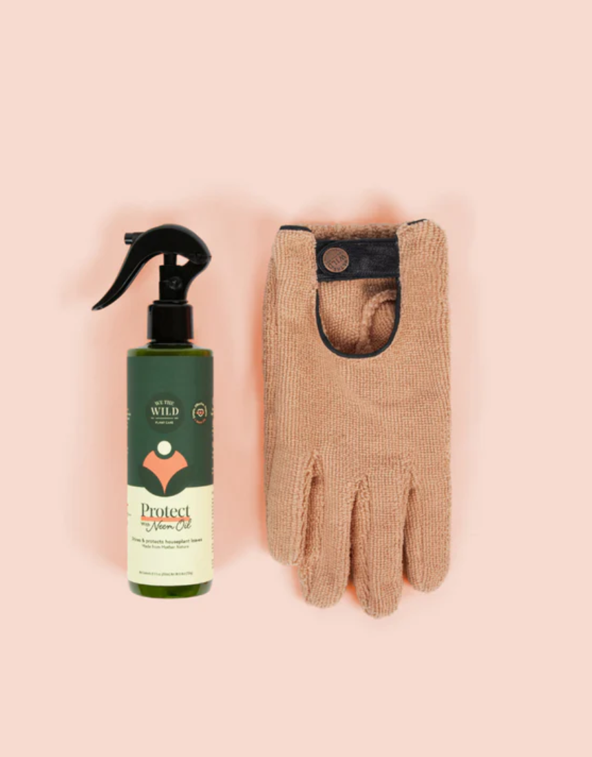 We The Wild Proud Plant Mum Leaf Health Kit with plant care tools and products for healthy houseplants, displayed in a natural setting.