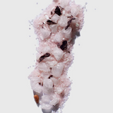 Hunter Lab Pinot Grape Skin Bath Soak in a stylish jar, showcasing the luxurious bath and body product with fresh grape ingredients.