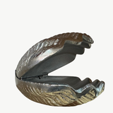White Moose clam bowl in silver, showcasing a sleek, polished design perfect for serving or decorative use.