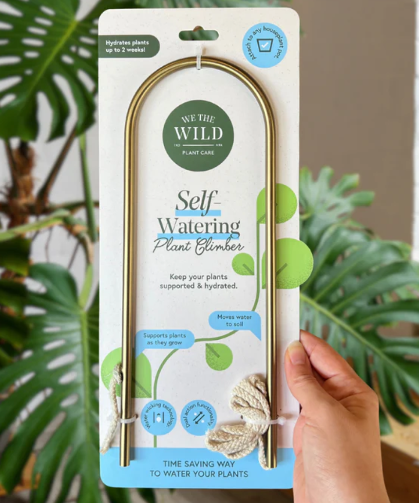 We The Wild self-watering plant climber with lush green foliage, designed to support climbing plants indoors or outdoors.