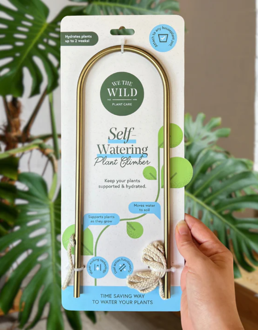 We The Wild self-watering plant climber with lush green foliage, designed to support climbing plants indoors or outdoors.