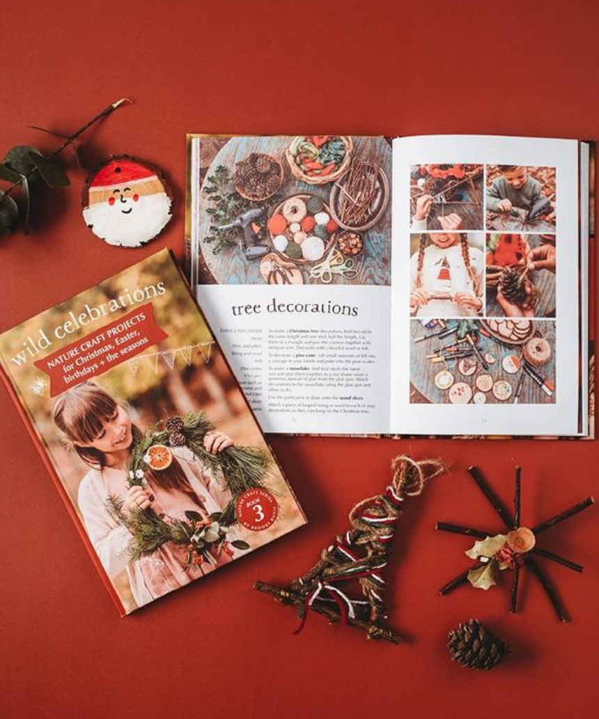Your Wild Books Wild Celebrations Book with colorful cover and festive illustrations for celebrating special occasions