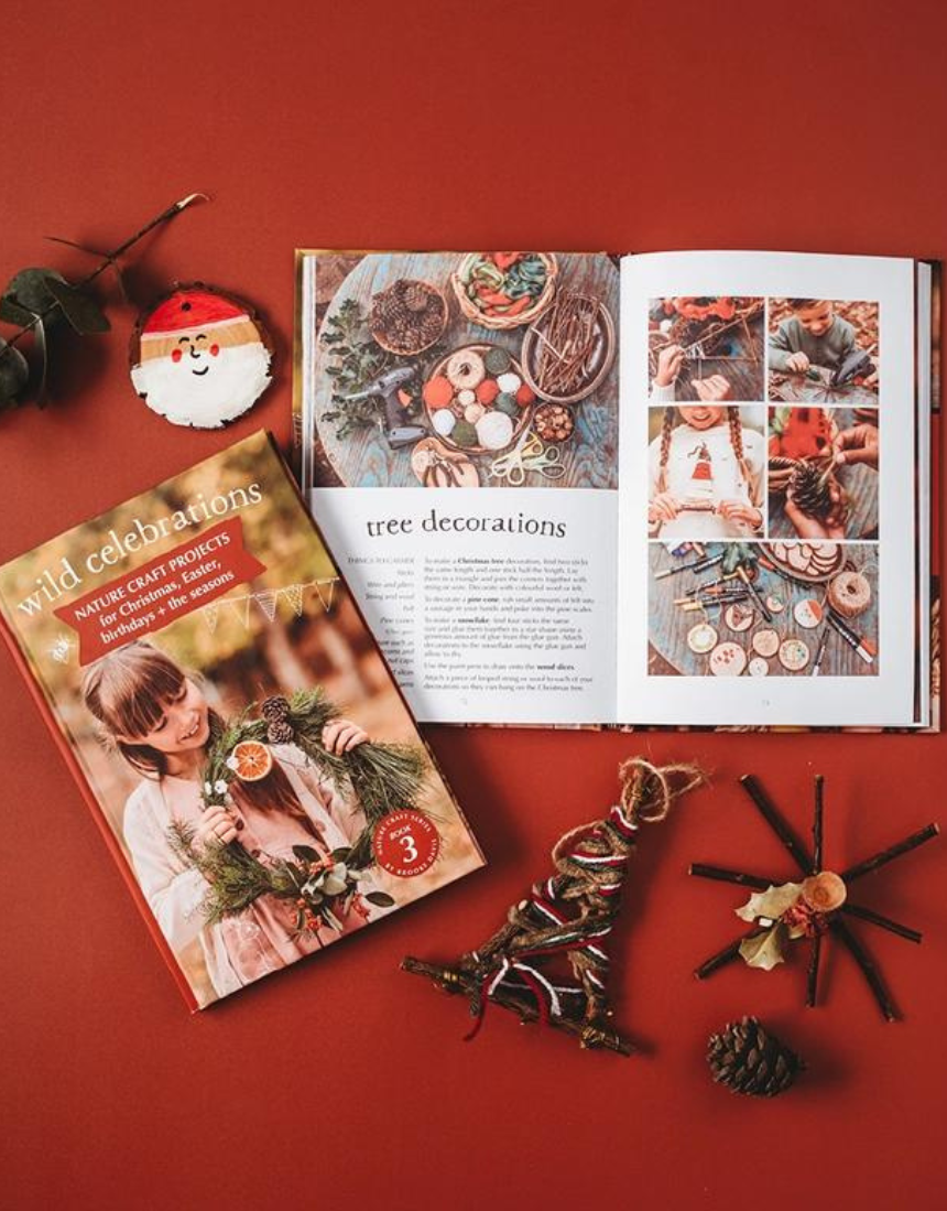 Your Wild Books Wild Celebrations Book with colorful cover and festive illustrations for celebrating special occasions