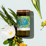Mojo Candle Co. Mimosa Wattle Australiana Collection