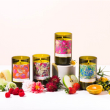 Mojo Candle Co. Mimosa Wattle Australiana Collection