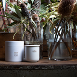 Salus Lemongrass Soy Candle Candles
