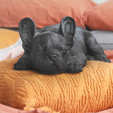 White Moose sleeping Frenchie homeware in black, featuring a cozy French Bulldog design for stylish home decor.